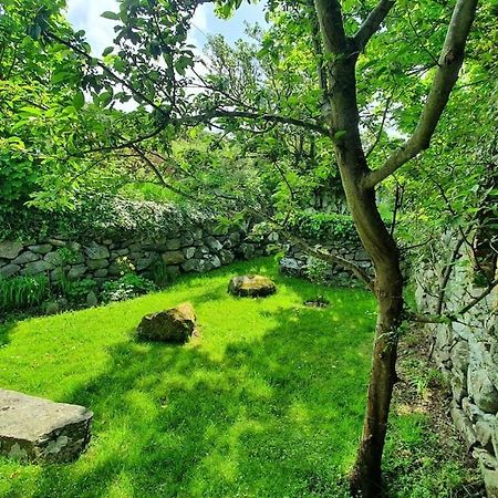 Ferienwohnung The Hayloft Llwyndu Barmouth Exterior foto